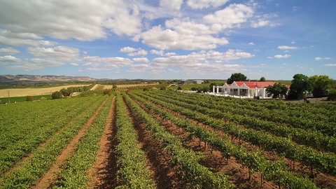 1837 Barossa Luxury Vineyard Cottages - Accommodation Adelaide 0