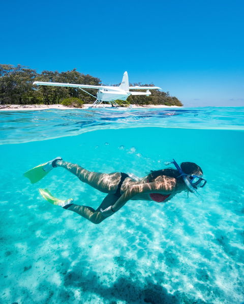 Heron Island Resort - Accommodation Adelaide 1