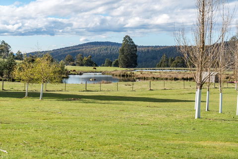 Highland Caravan Park - Accommodation Adelaide 1