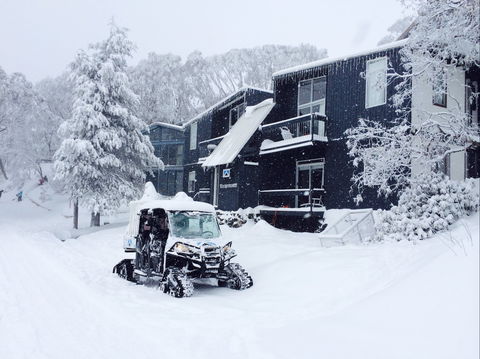 Kilimanjaro Alpine Apartments - Accommodation Adelaide 2