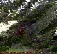 Turkeys Nest Rainforest Cottages Mt Glorious - Accommodation Adelaide
