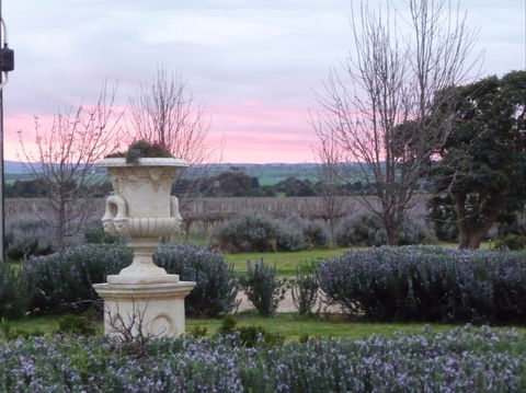 Angas Plains Wines Suites - Accommodation Adelaide 2