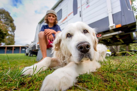 BIG4 St Helens Holiday Park - Accommodation Adelaide 2
