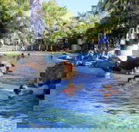 Big4 Aussie Outback Oasis Holiday Park - Accommodation Adelaide