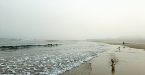 Drift Beach Shack - Accommodation Adelaide 0