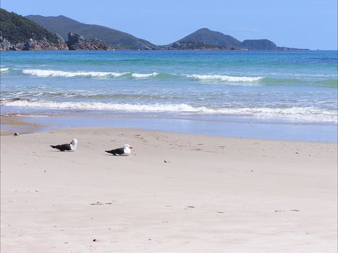 Eagles Rise Tasmania - Accommodation Adelaide 0