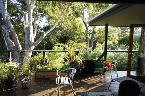 Kookaburra Dreaming - Accommodation Adelaide 2