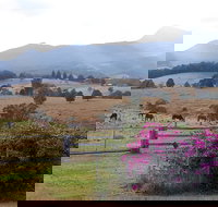 The Barn  House Farm Stay at Possum Manor - Accommodation Adelaide