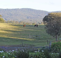 Wallaby Cottage - Accommodation Adelaide