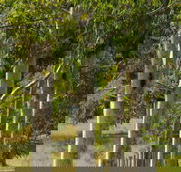 Stringybark Cottages - Accommodation Adelaide