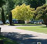 Mitchell Gardens Holiday Park - Accommodation Adelaide