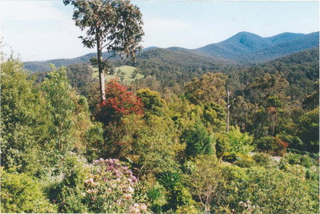 Helgrah Cottage - Accommodation Adelaide 5