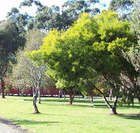 Otways Tourist Park - Accommodation Adelaide