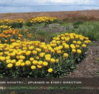 Alpine View Apartments - Accommodation Adelaide