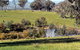 Gaddleen Grove Cottages - thumb 5