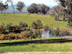 Gaddleen Grove Cottages - Accommodation Adelaide 5
