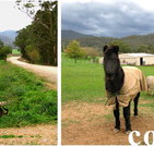Emerald Park Holiday Farm - Accommodation Adelaide