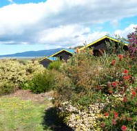 Black Cockatoo Cottages - Accommodation Adelaide