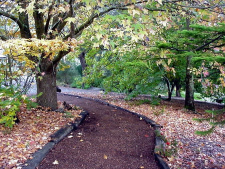 Brigadoon Cottages - Accommodation Adelaide 3