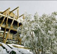 Silverski - Accommodation Adelaide