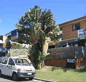 Melaluka And Costa Bella Luxury Apartments - Accommodation Adelaide