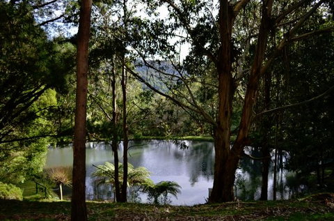 Mirador Springs - Accommodation Adelaide 1