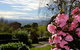 Mirador Springs - thumb 2