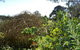 Mirador Springs - thumb 3