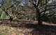 Mirador Springs - thumb 5