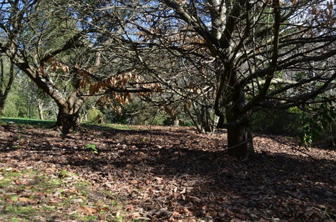 Mirador Springs - Accommodation Adelaide 5