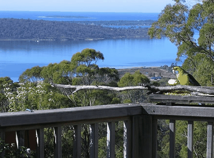 Bed In The Treetops - Accommodation Adelaide 0