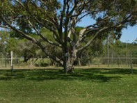 Hawks Nest Holiday Park - Accommodation Adelaide 3
