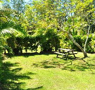 Wooli Caravan Park - Accommodation Adelaide