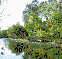 Ribbonwood Cottages - Accommodation Adelaide