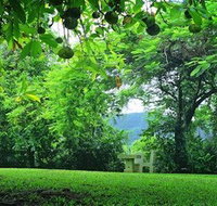 Misty Mountain Retreat - Accommodation Adelaide
