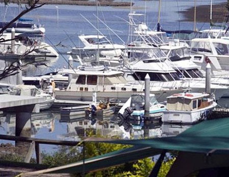 Soldiers Point Holiday Park - Accommodation Adelaide 3