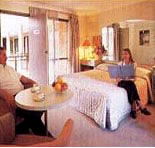 Sydney Palm Court Motor Inn - Accommodation Adelaide