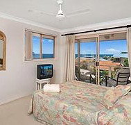 Allez Pacific Rose - Accommodation Adelaide