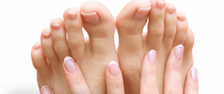 Ella Bache - Accommodation Adelaide