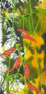Jahroc Mill Gallery - Accommodation Adelaide 3