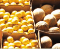 Brisbane Markets - Accommodation Adelaide