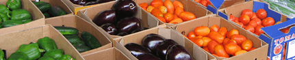 Brisbane Markets - Accommodation Adelaide 3