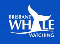 Brisbane Whale Watching - Accommodation Adelaide 3