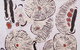 Gallery Gabrielle Pizzi - thumb 0