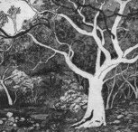 Tacit Contemporary Art - Accommodation Adelaide