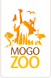 Mogo Zoo - Accommodation Adelaide 0