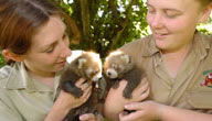 Mogo Zoo - Accommodation Adelaide 3