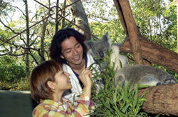 Taronga Zoo - Accommodation Adelaide 2