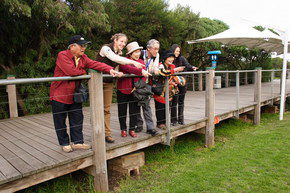 Phillip Island Penguin Parade - Accommodation Adelaide 1