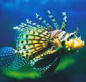 Underwater World - Accommodation Adelaide